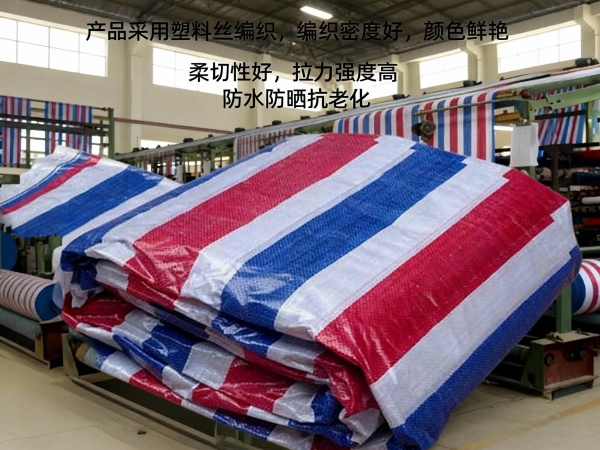 北方产业集群的典范:临沂彩条布编织涂塑一体化工艺解析